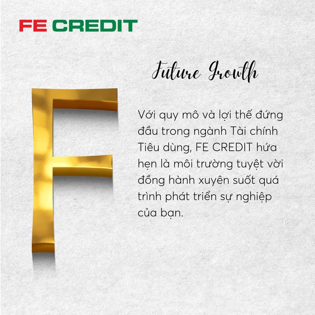 lĩnh vực hoạt động