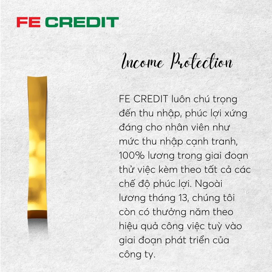 lĩnh vực hoạt động