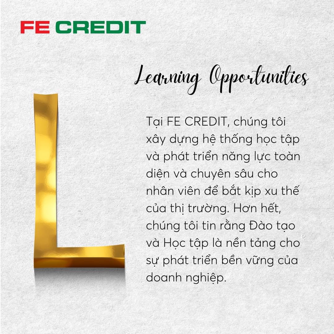 lĩnh vực hoạt động