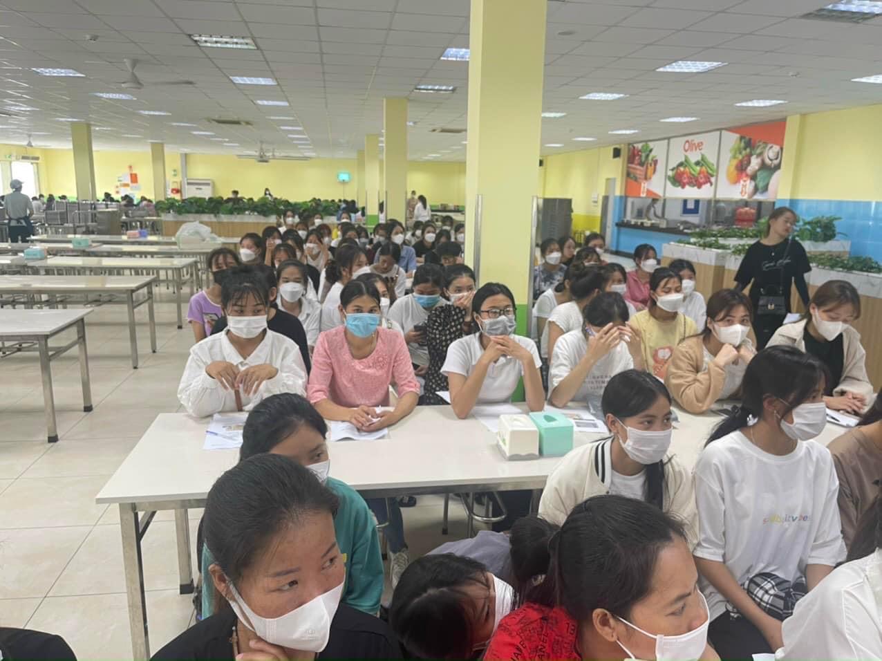 lĩnh vực hoạt động