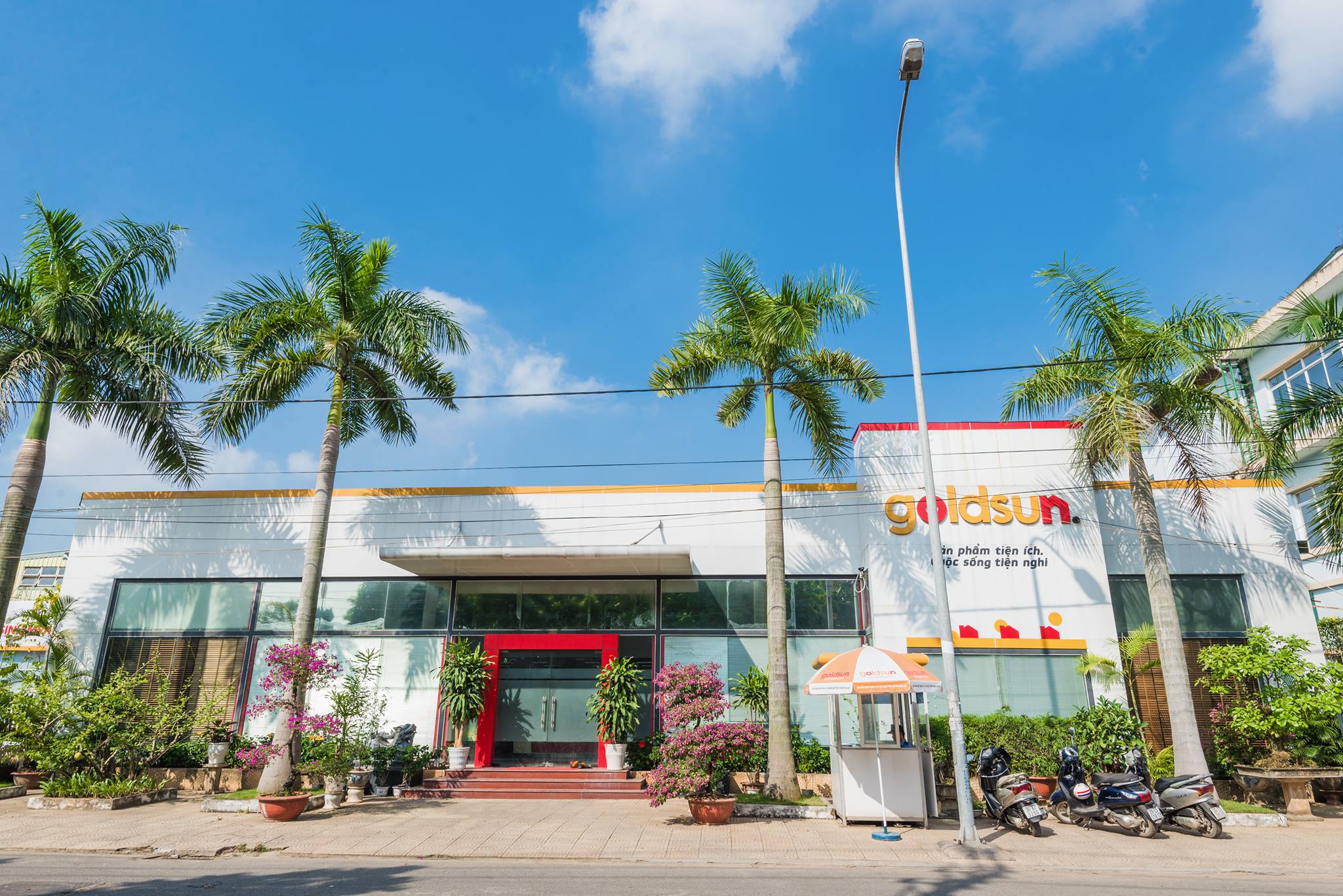 lĩnh vực hoạt động
