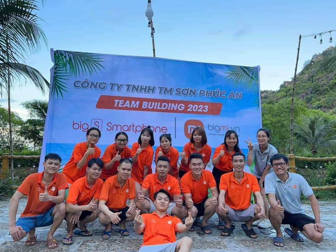 lĩnh vực hoạt động