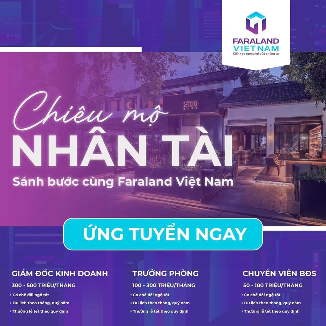 lĩnh vực hoạt động