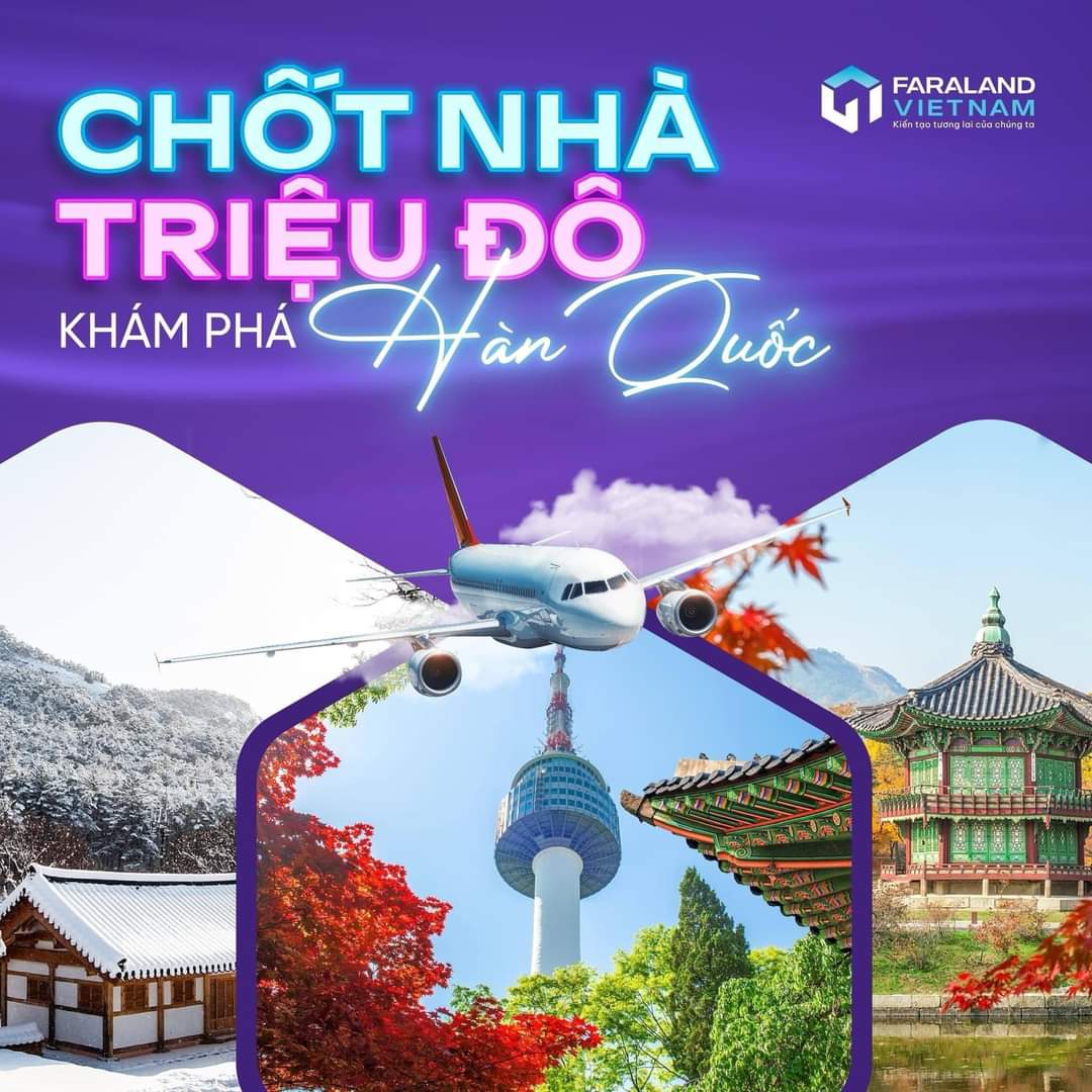 lĩnh vực hoạt động
