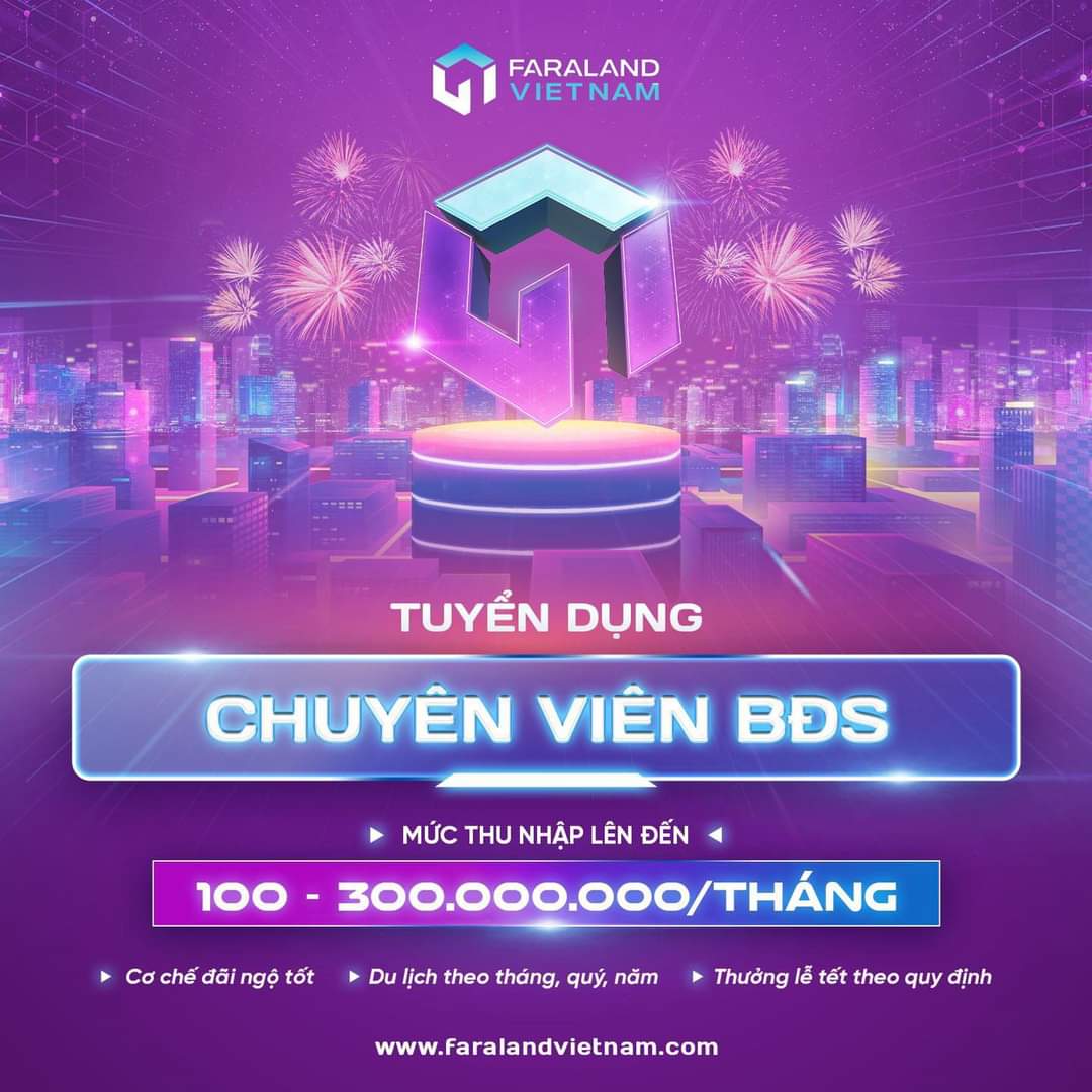 lĩnh vực hoạt động