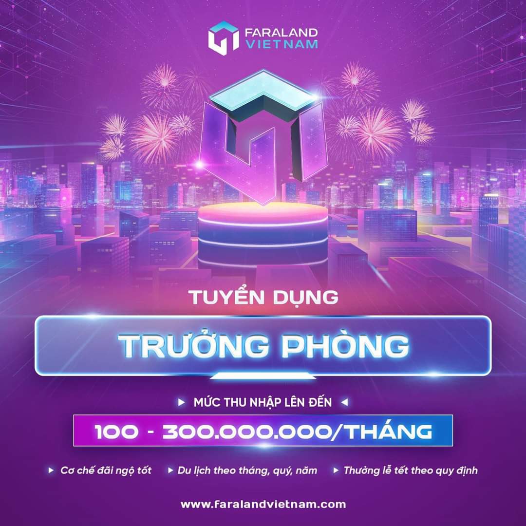 lĩnh vực hoạt động