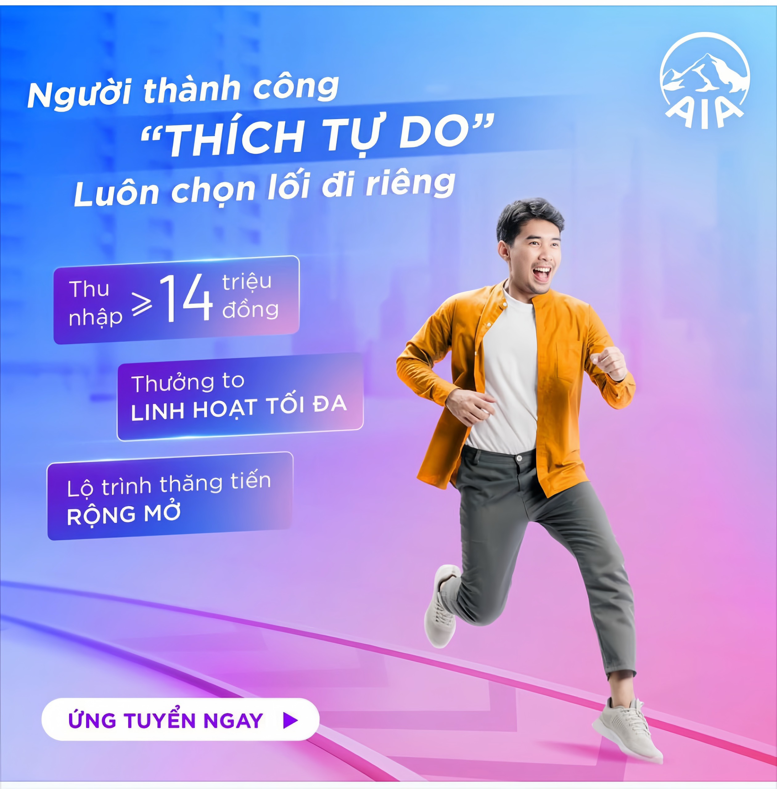 lĩnh vực hoạt động