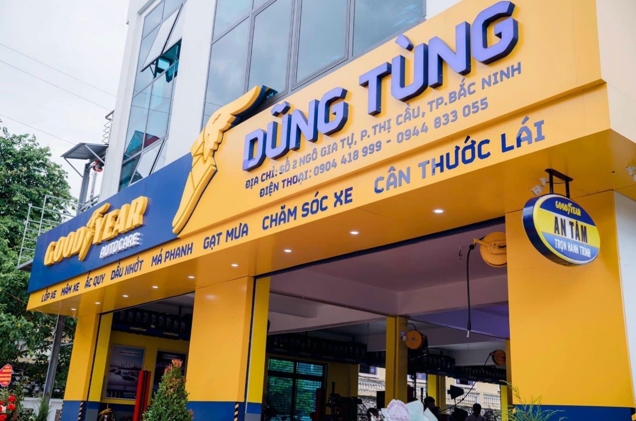 lĩnh vực hoạt động