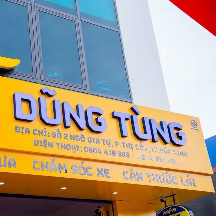lĩnh vực hoạt động