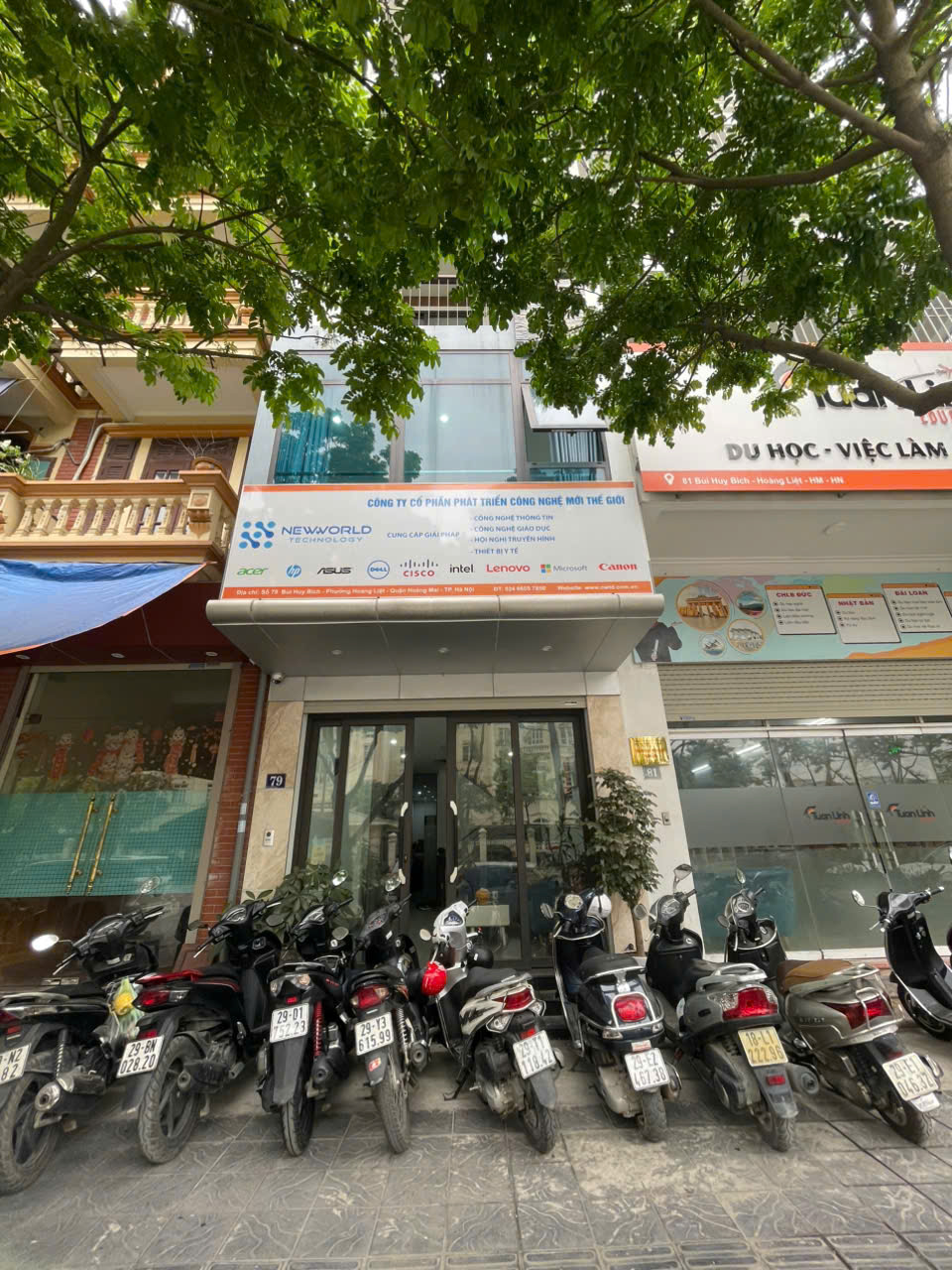 lĩnh vực hoạt động