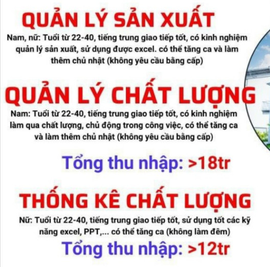 lĩnh vực hoạt động