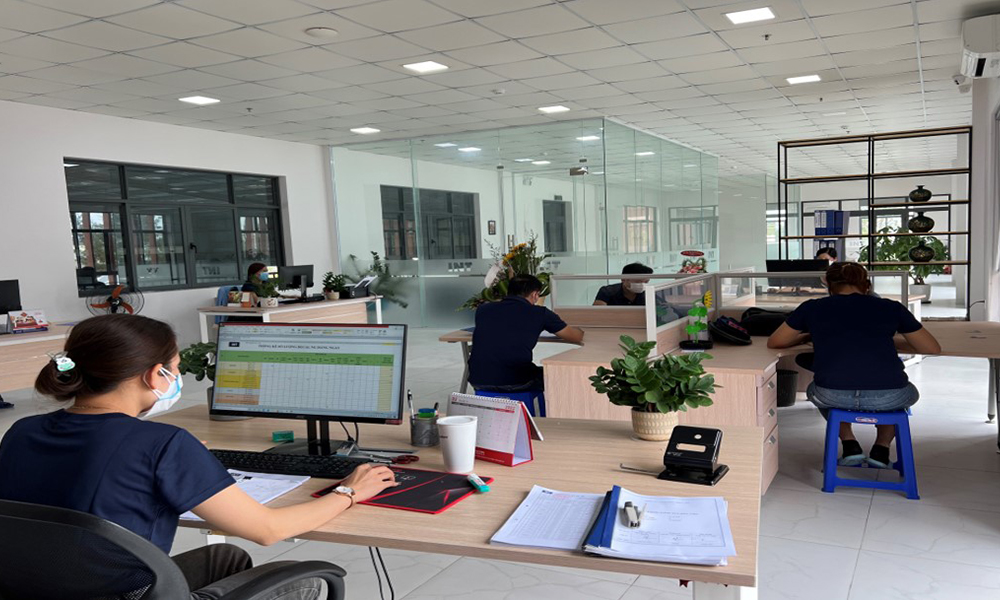 lĩnh vực hoạt động