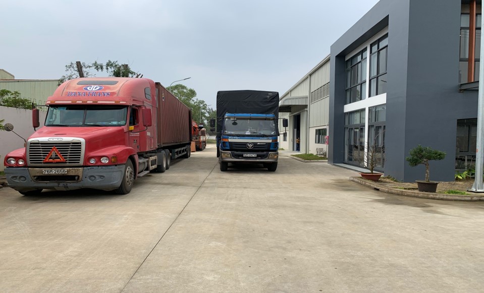 lĩnh vực hoạt động