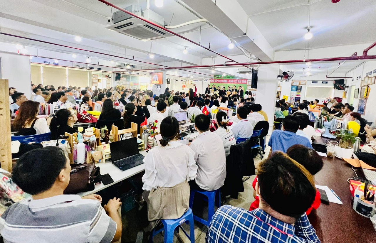 lĩnh vực hoạt động