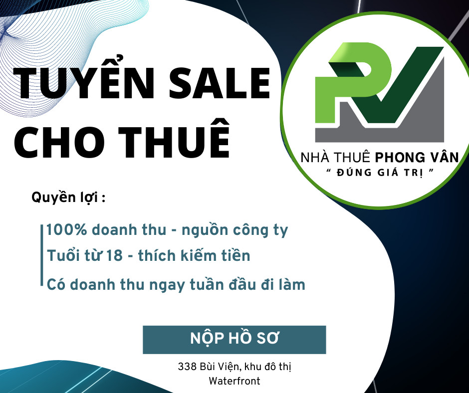 lĩnh vực hoạt động