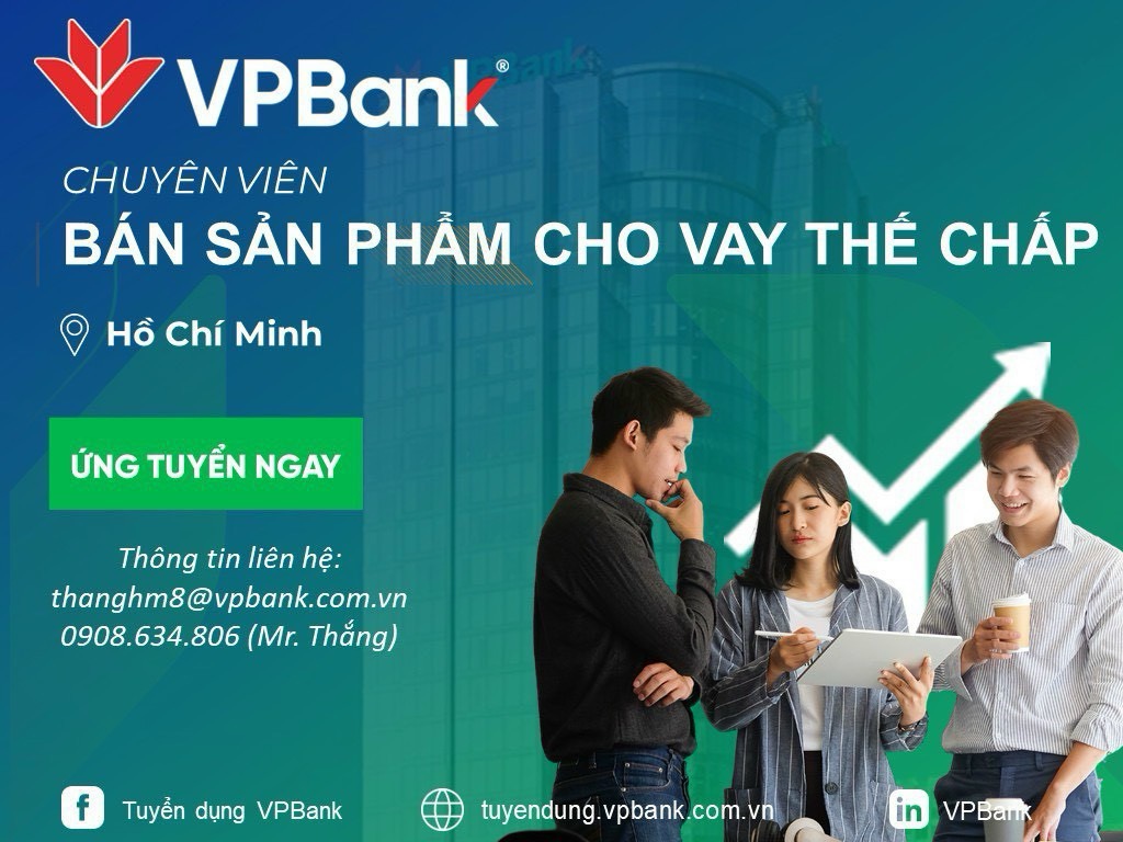 lĩnh vực hoạt động
