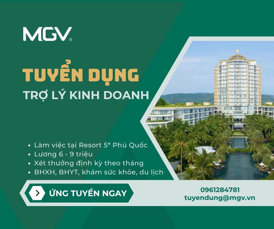 lĩnh vực hoạt động