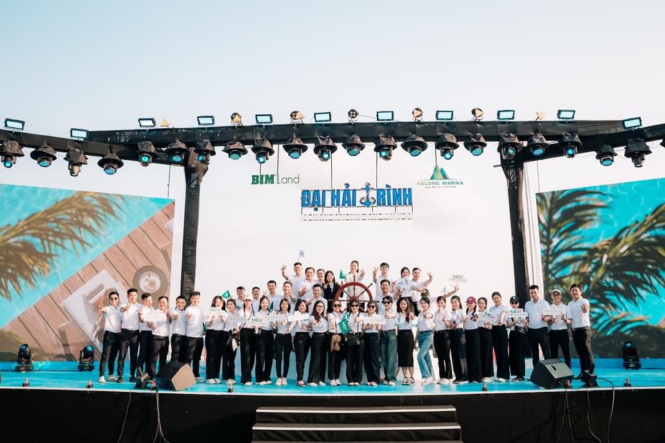lĩnh vực hoạt động