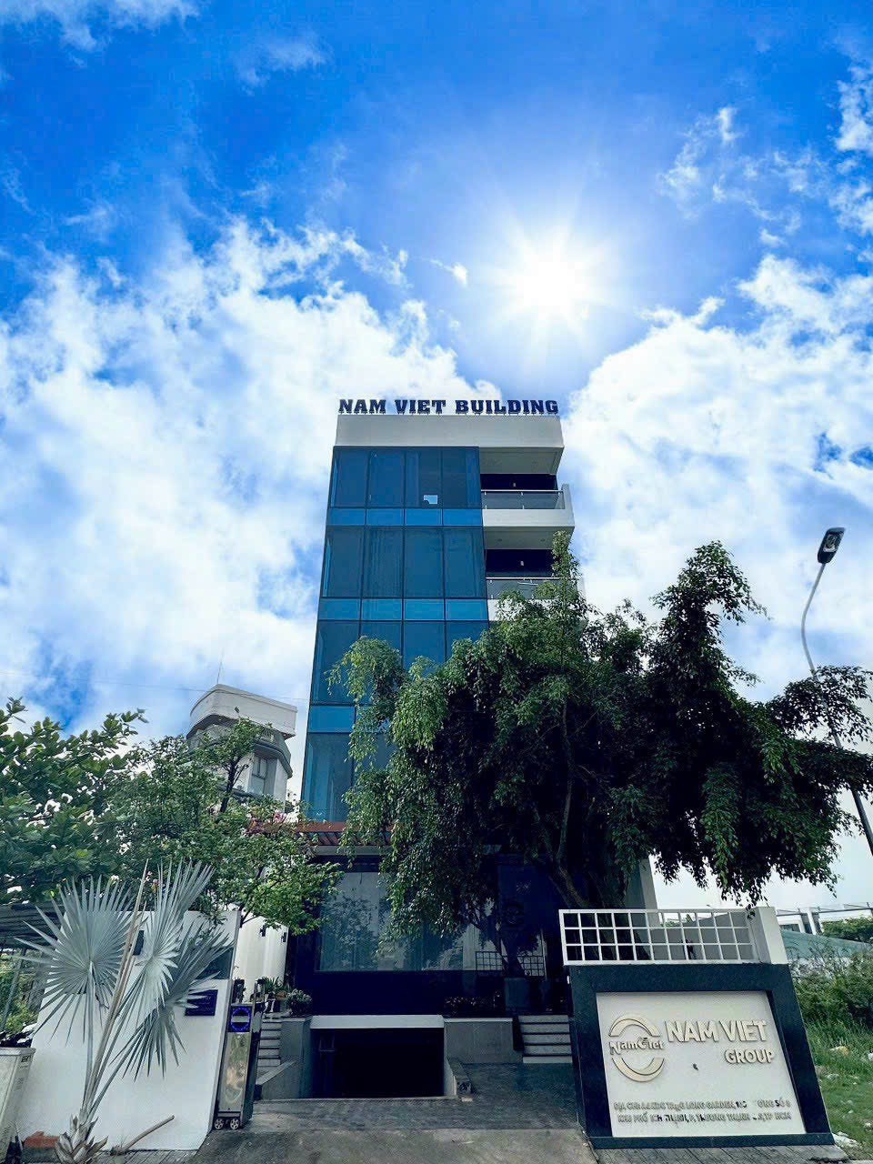 lĩnh vực hoạt động