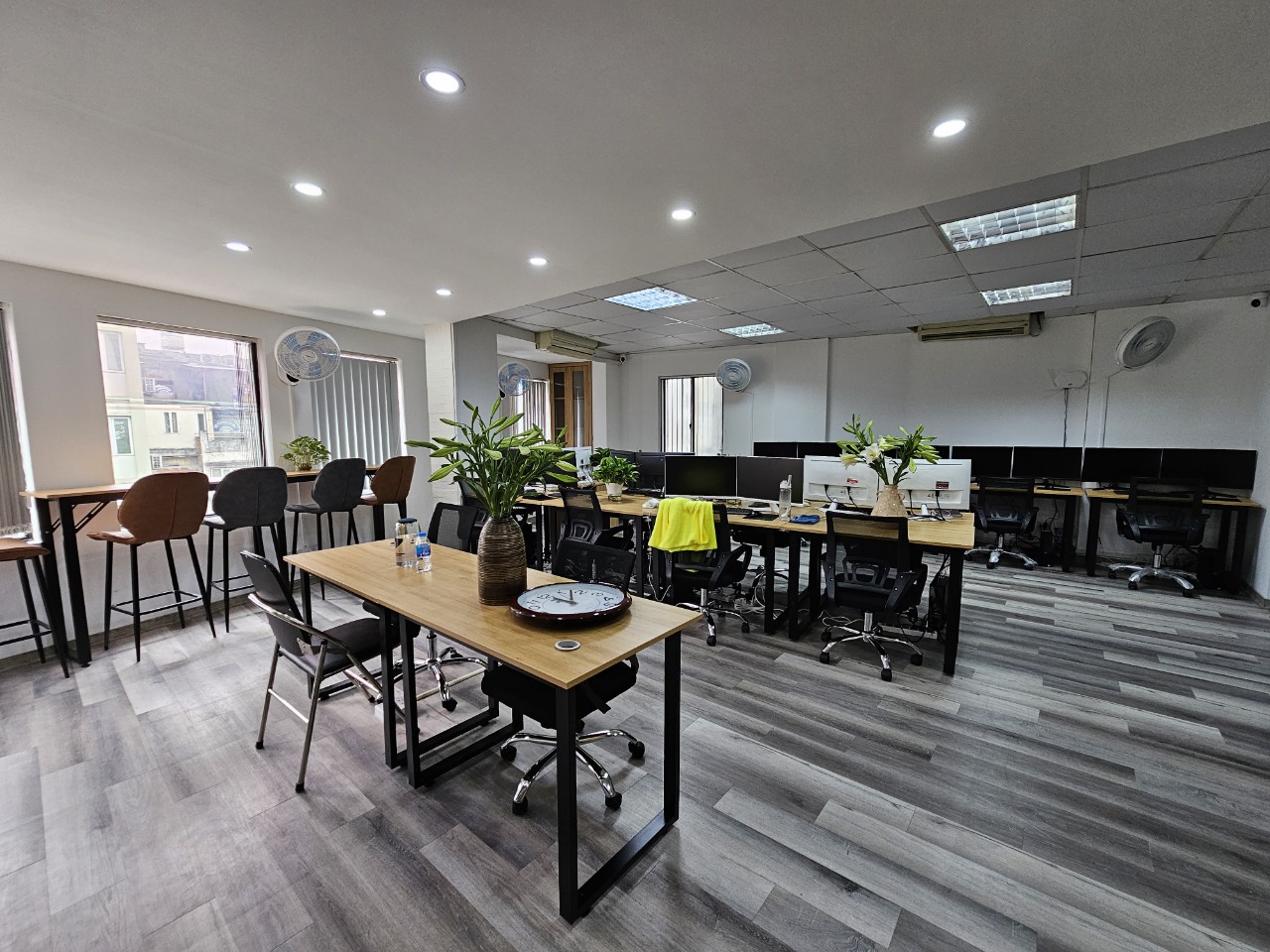 lĩnh vực hoạt động