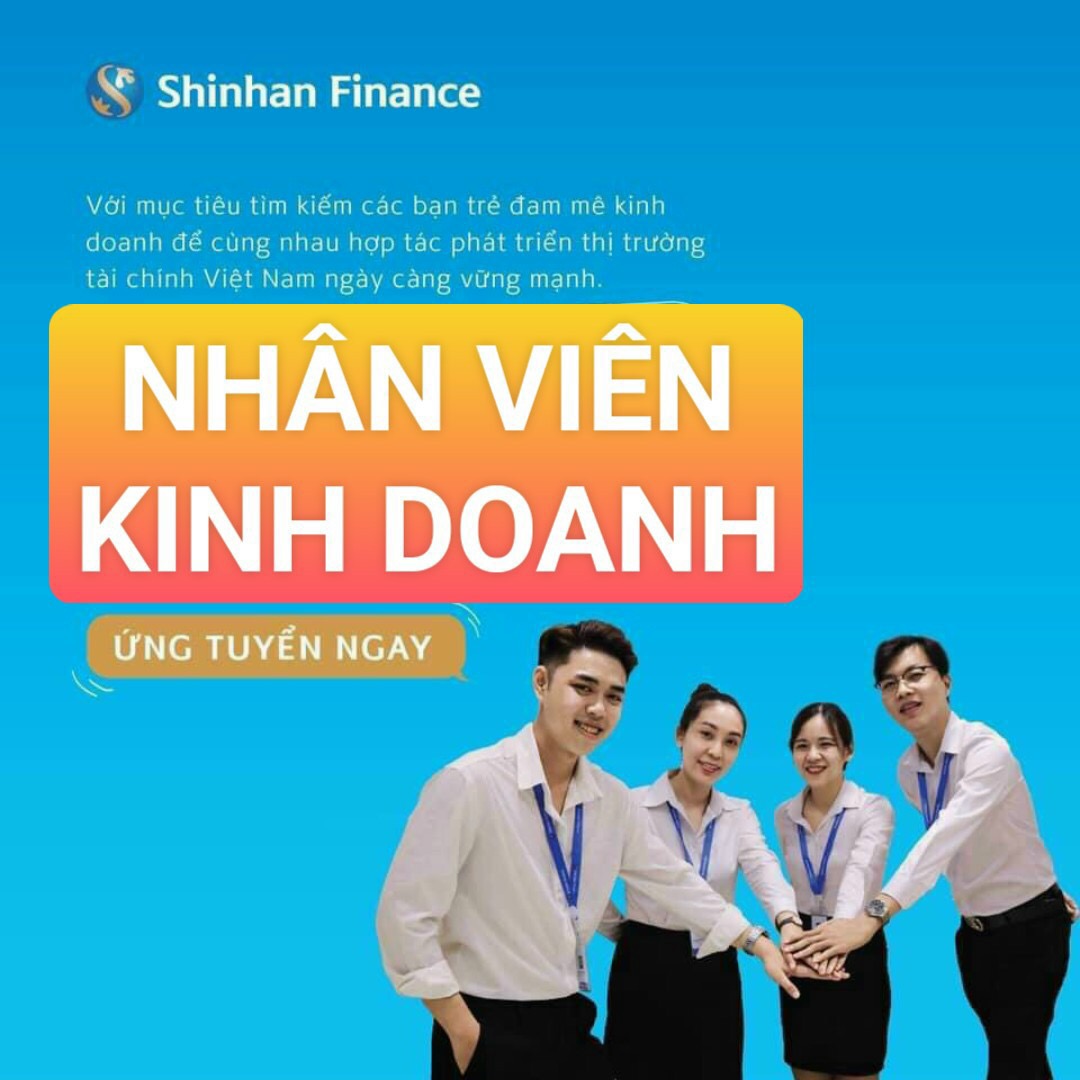 lĩnh vực hoạt động