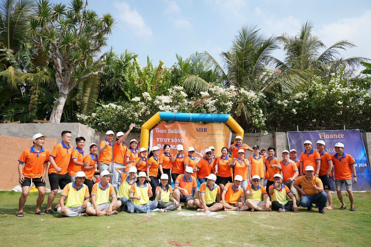 lĩnh vực hoạt động