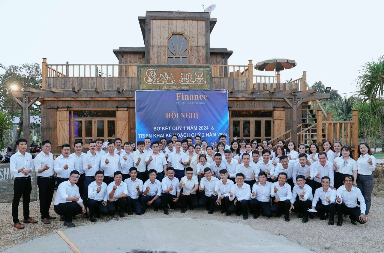 lĩnh vực hoạt động