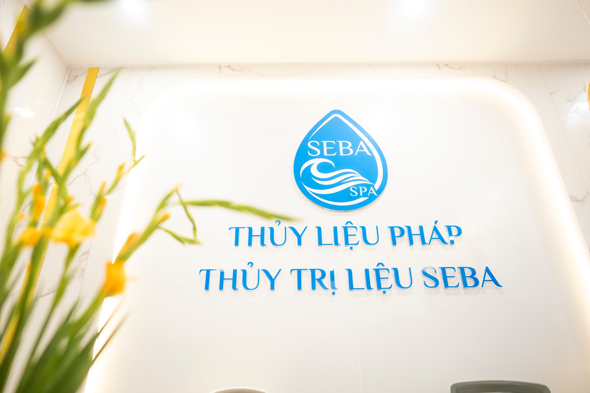 lĩnh vực hoạt động