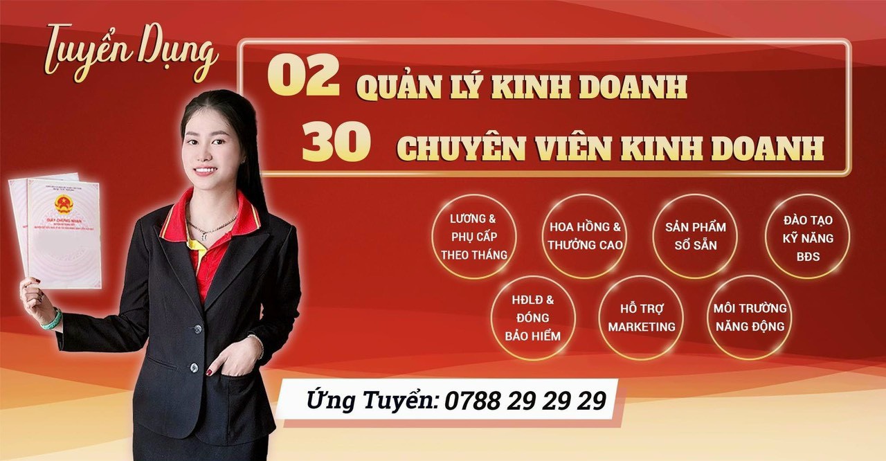 lĩnh vực hoạt động
