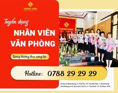 lĩnh vực hoạt động