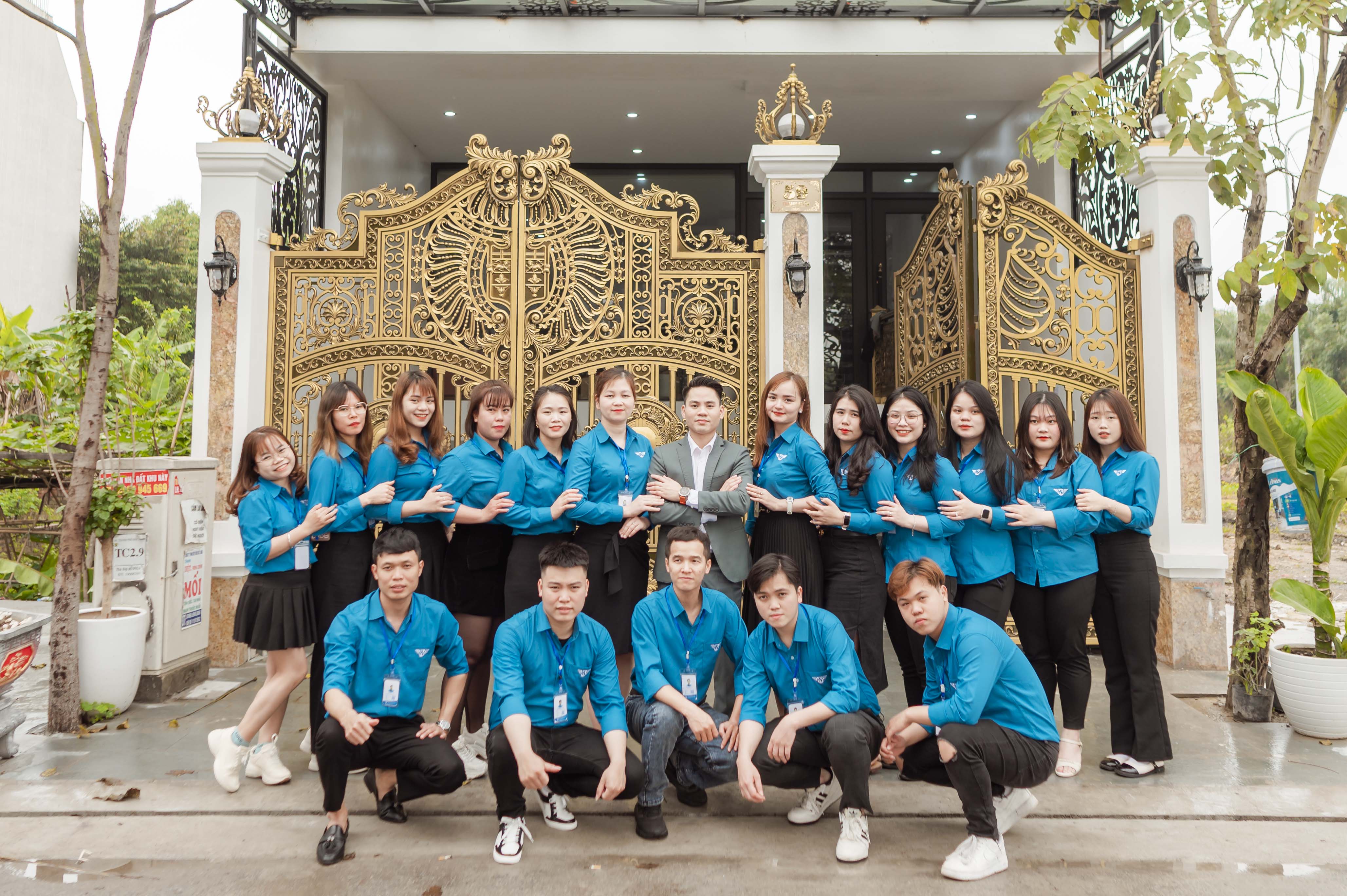 lĩnh vực hoạt động
