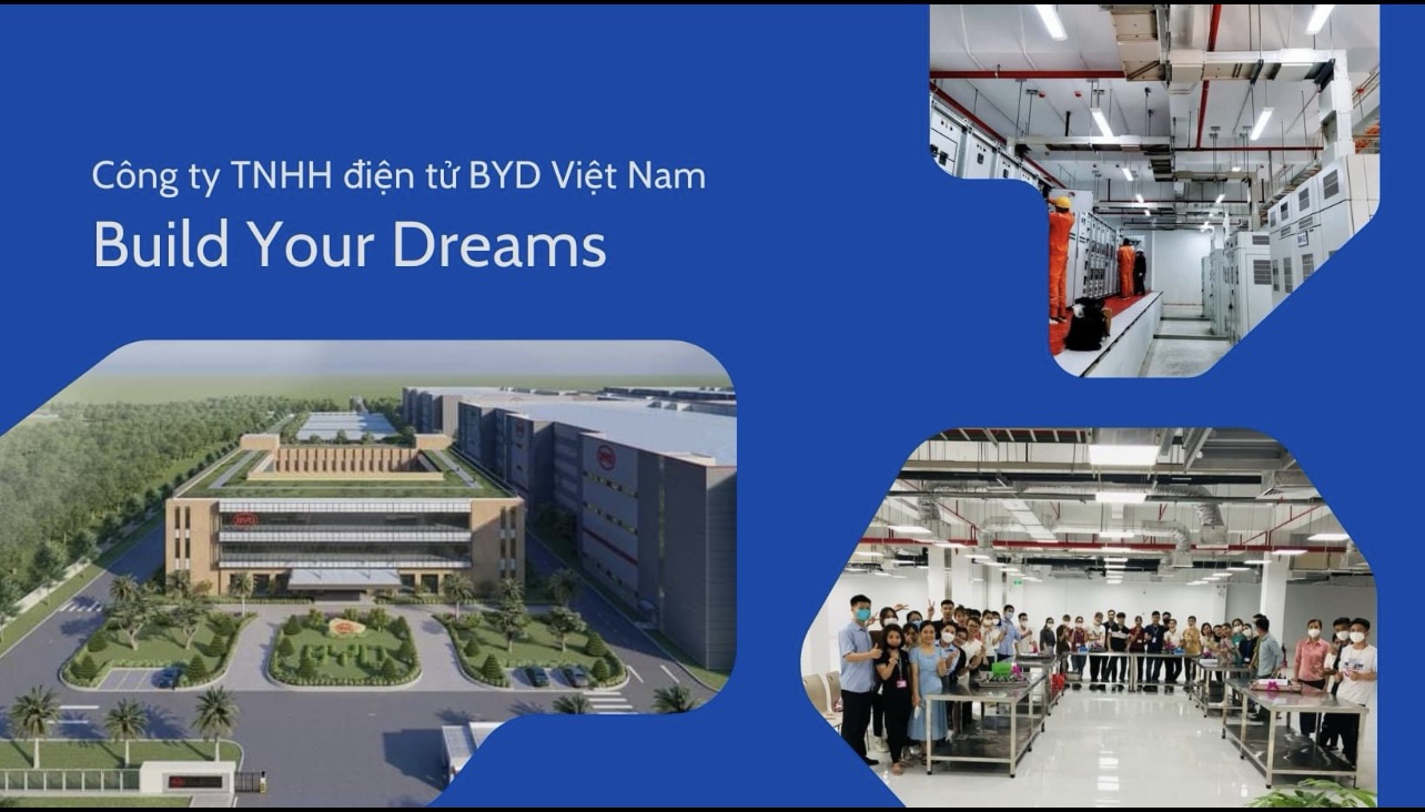 lĩnh vực hoạt động