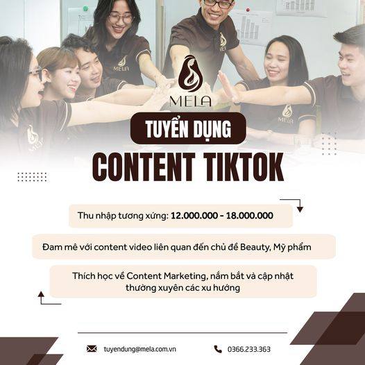 lĩnh vực hoạt động