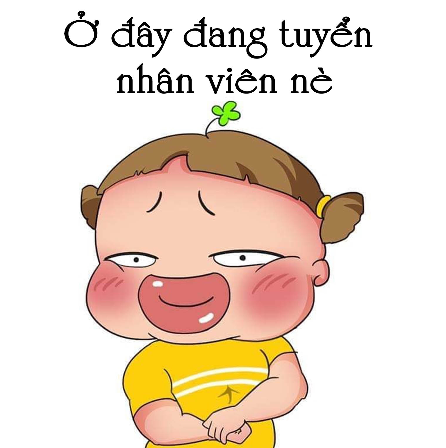 lĩnh vực hoạt động