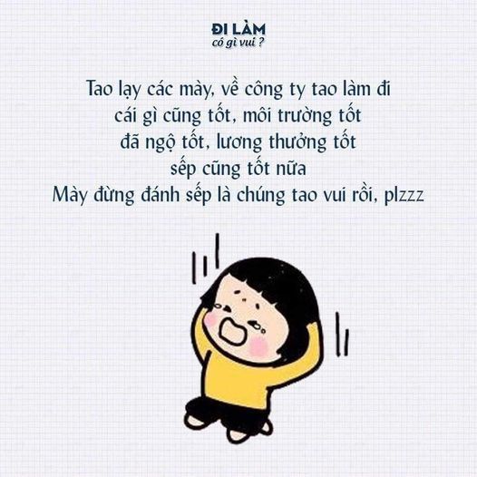 lĩnh vực hoạt động