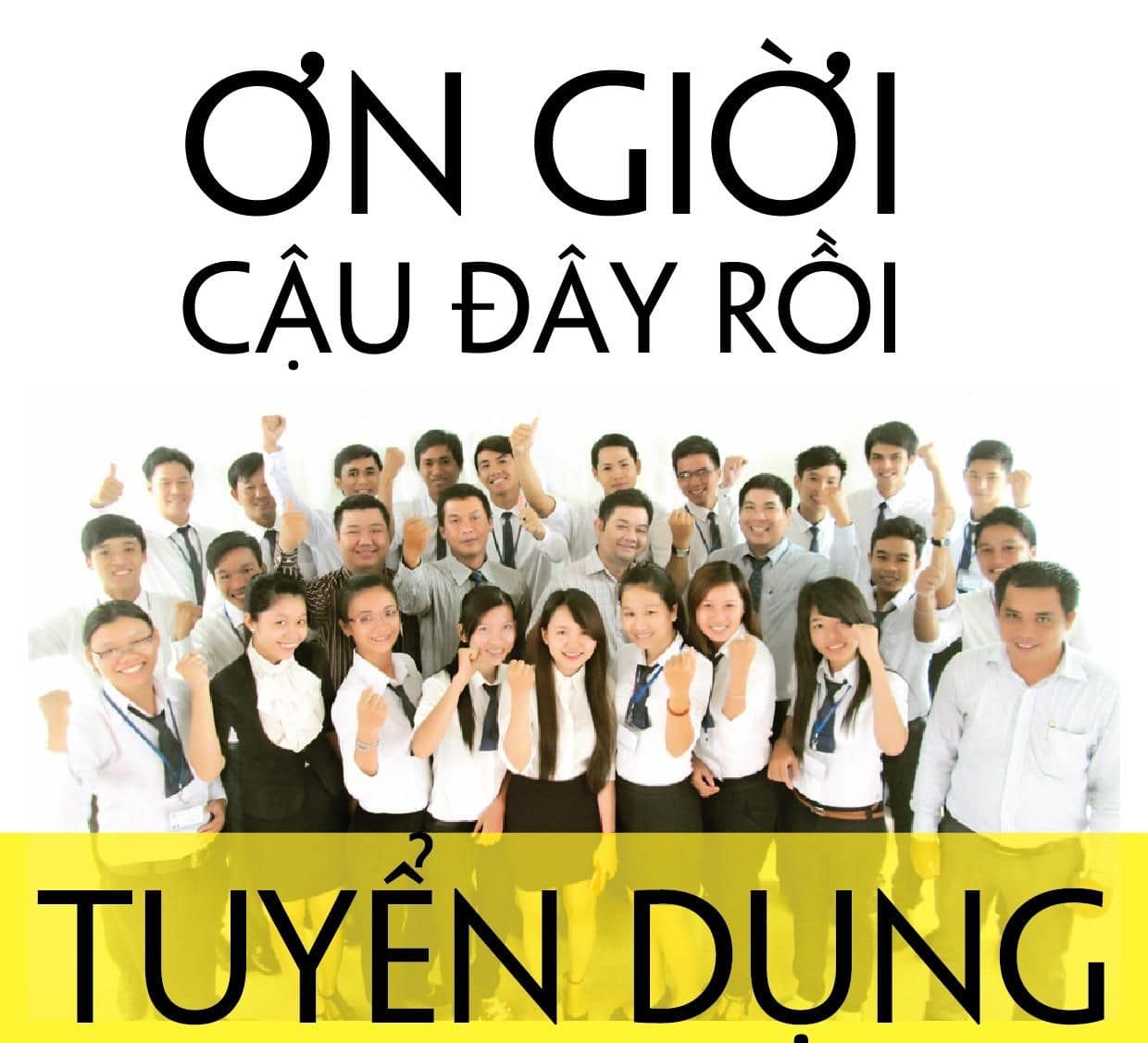lĩnh vực hoạt động