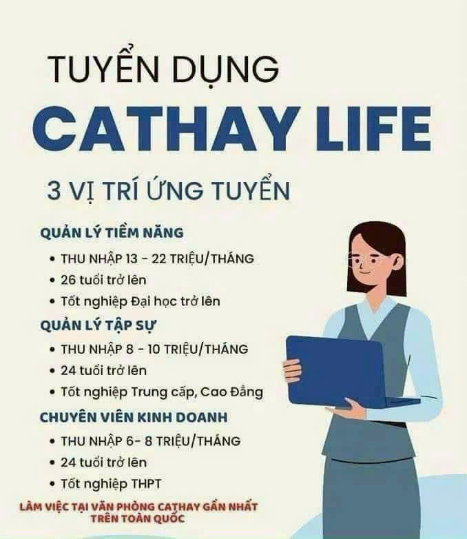 lĩnh vực hoạt động
