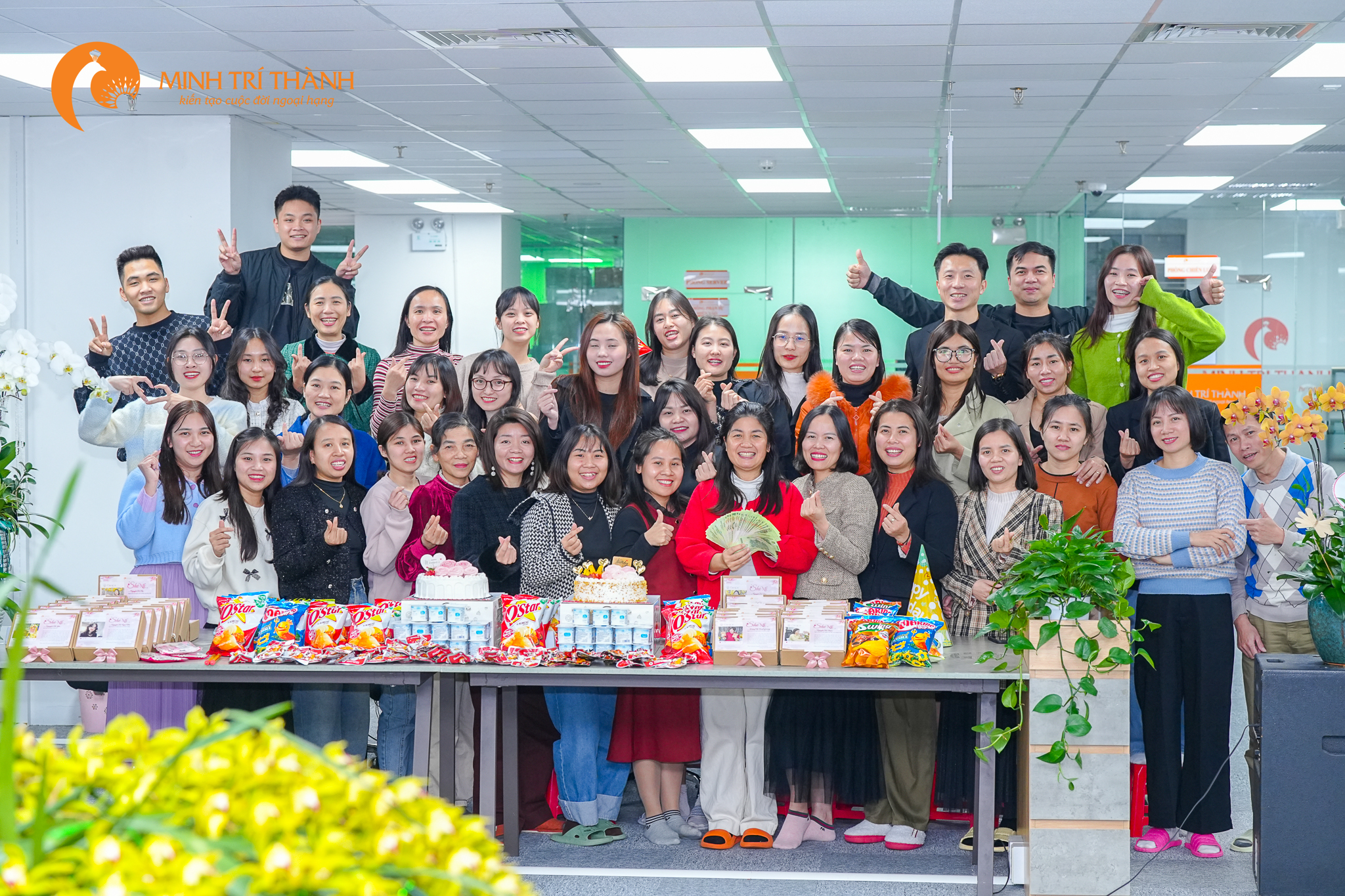 lĩnh vực hoạt động