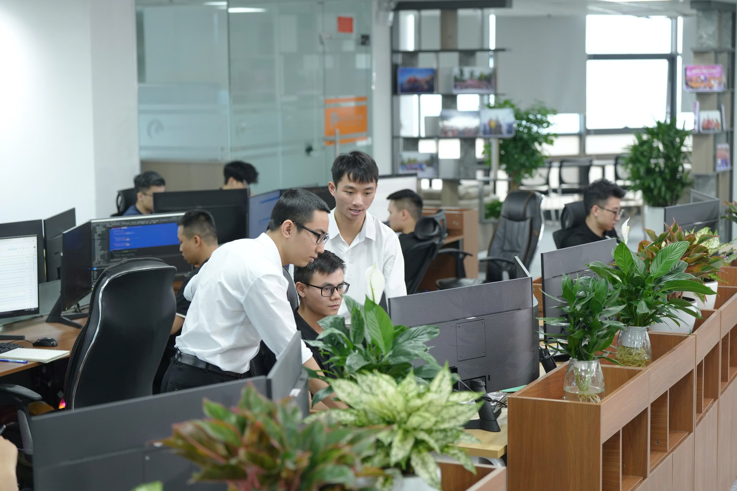 lĩnh vực hoạt động