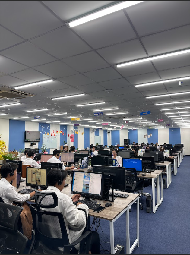 lĩnh vực hoạt động