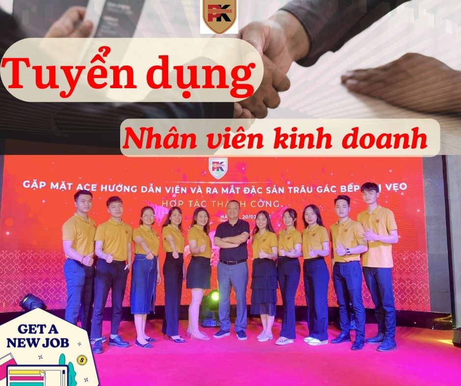 lĩnh vực hoạt động