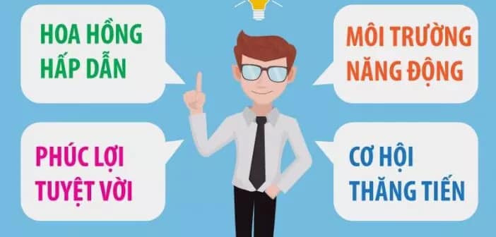 lĩnh vực hoạt động