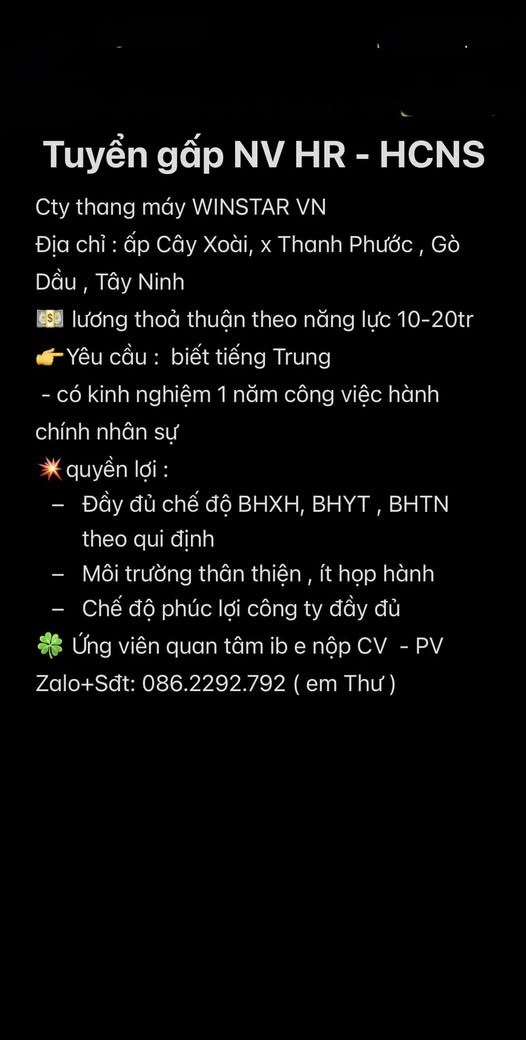 lĩnh vực hoạt động