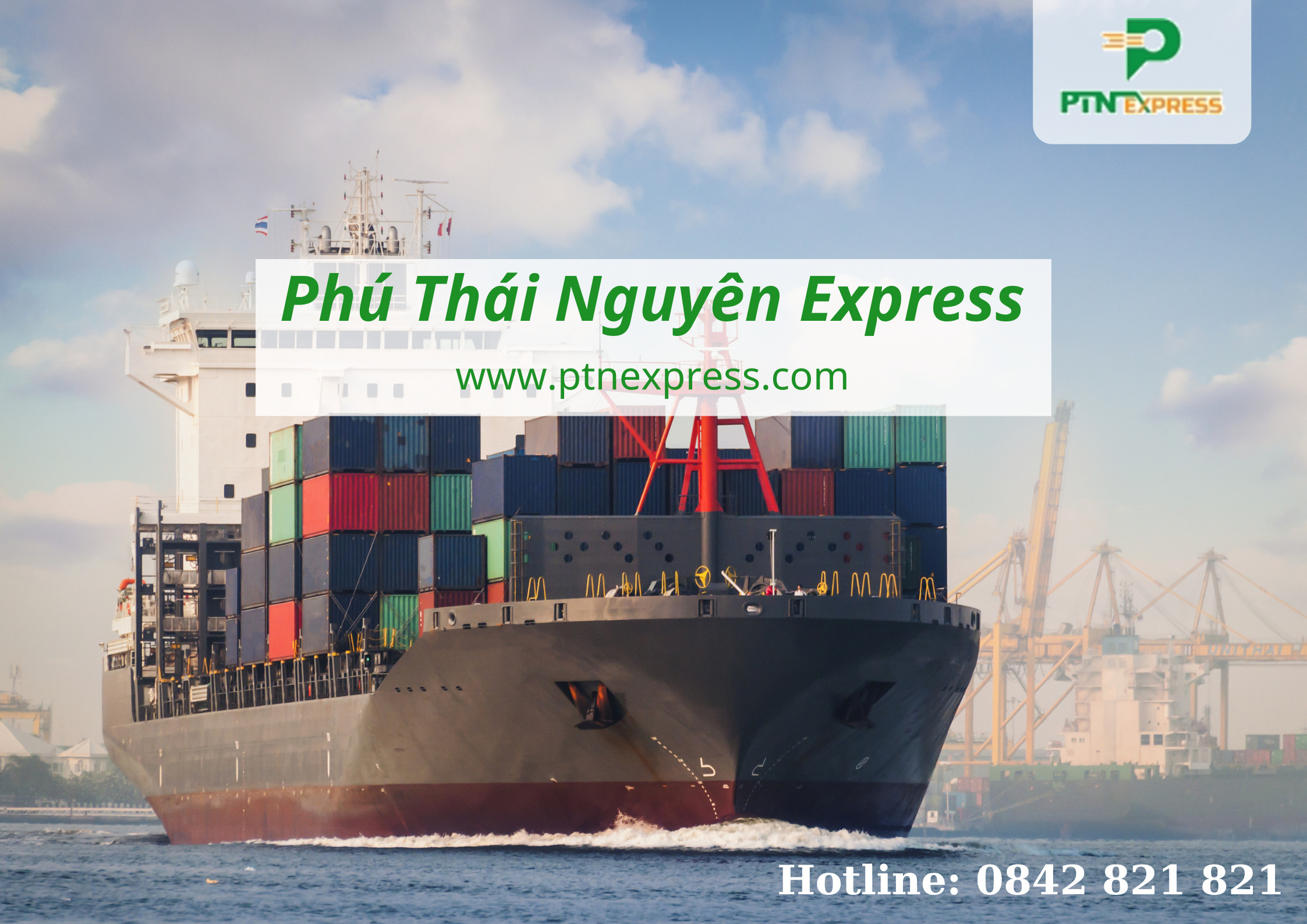 lĩnh vực hoạt động