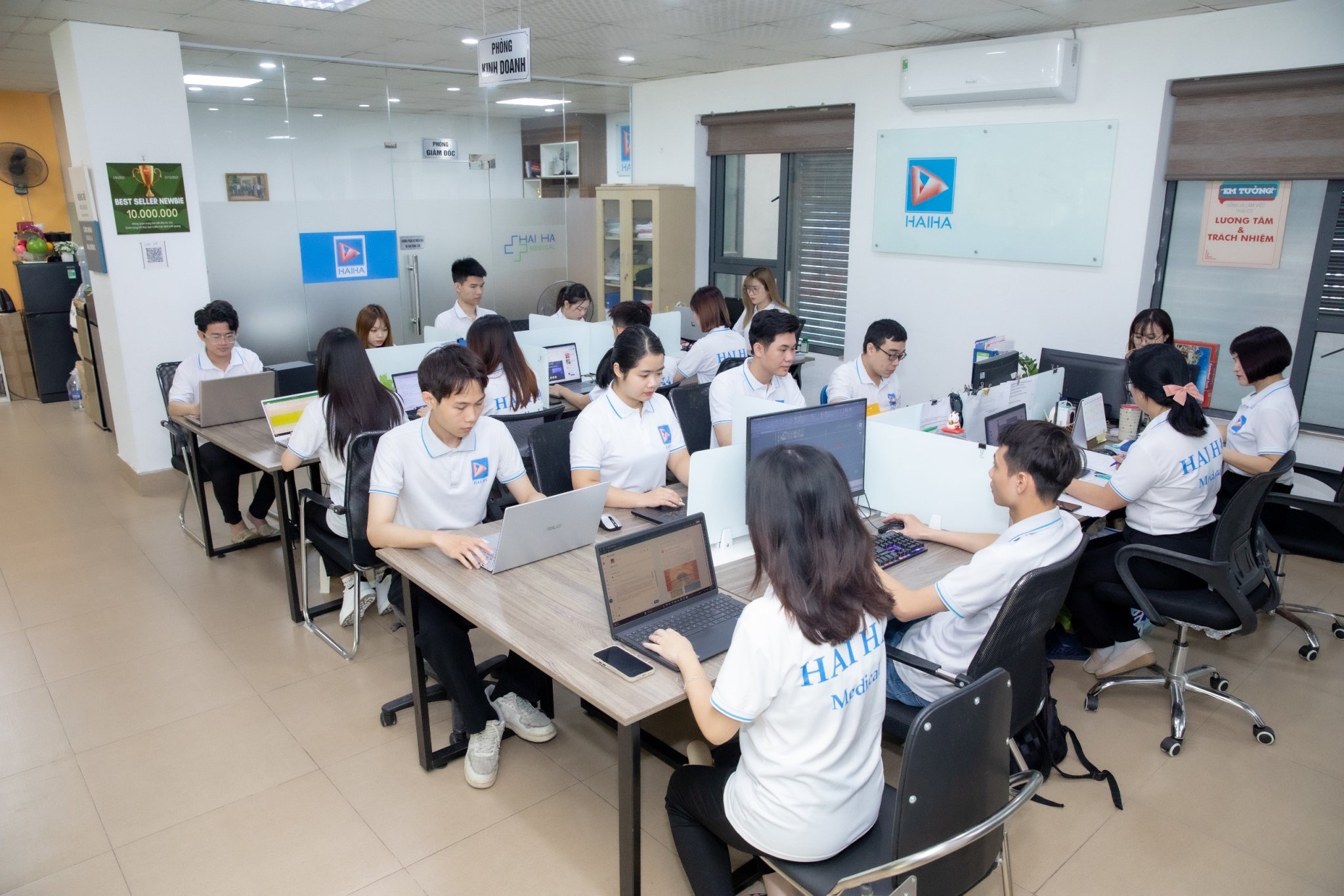 lĩnh vực hoạt động