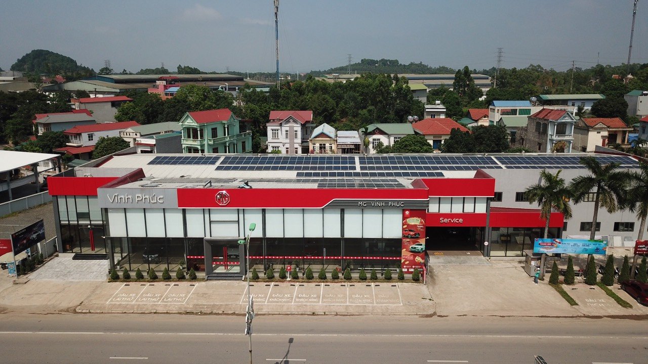 lĩnh vực hoạt động