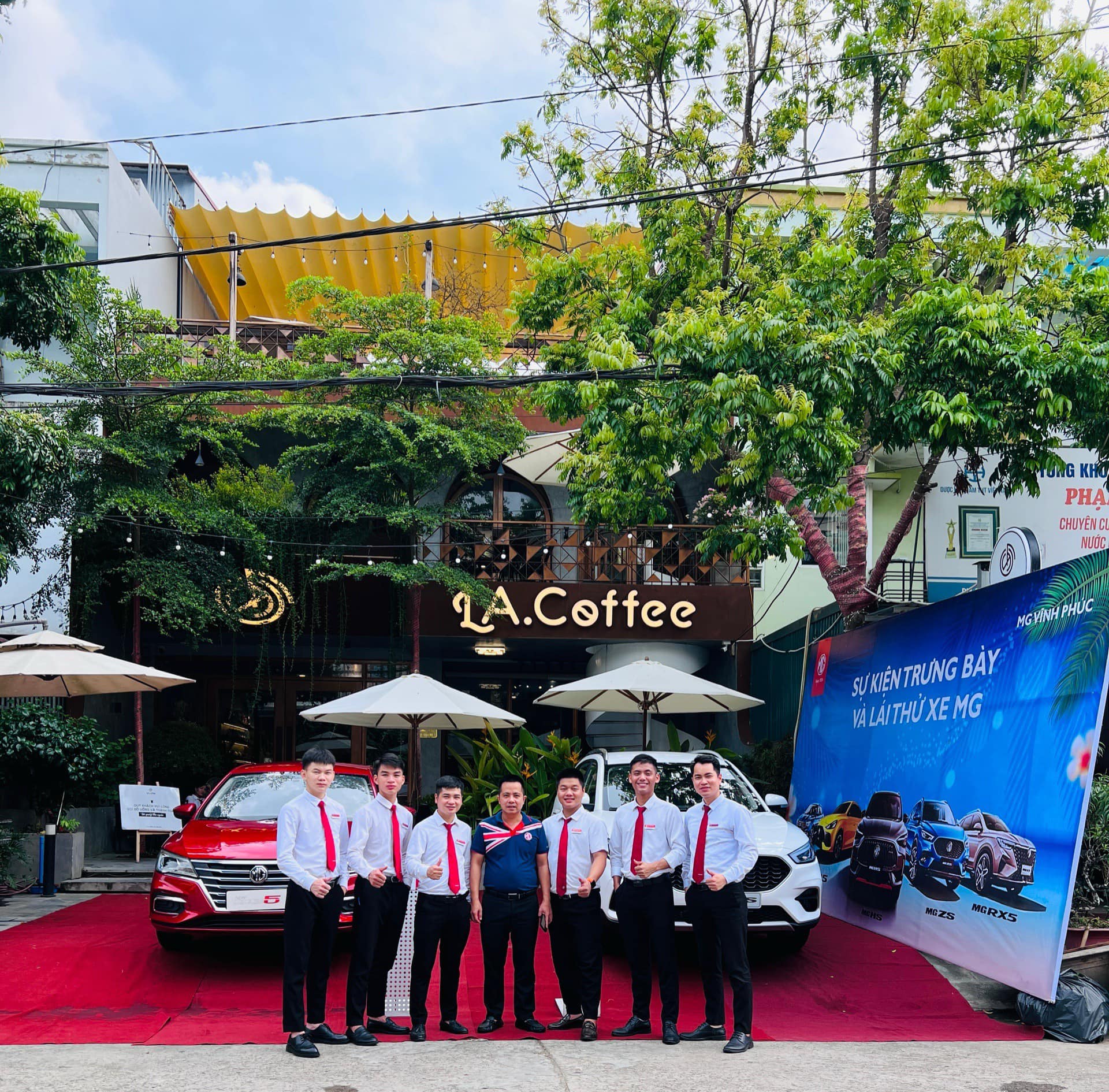 lĩnh vực hoạt động