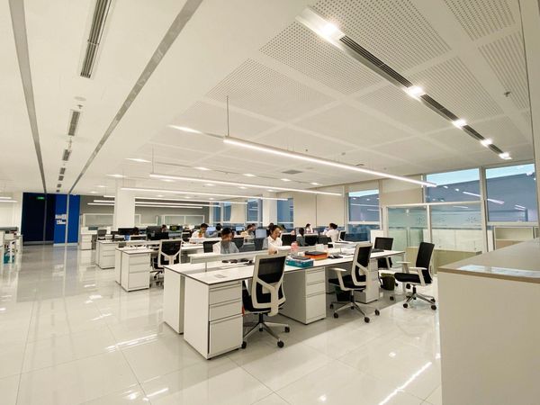 lĩnh vực hoạt động