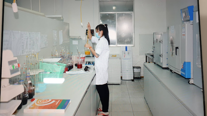 lĩnh vực hoạt động