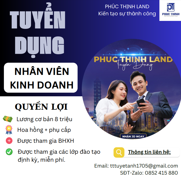 lĩnh vực hoạt động